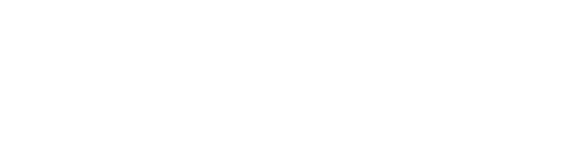 Softverse Logo